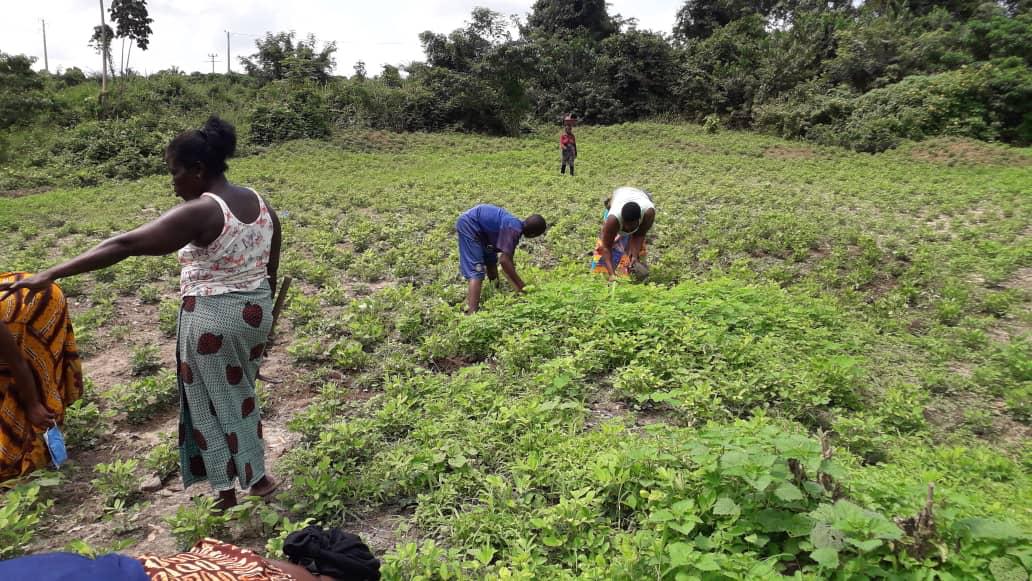 Agro-pastoralisme durable
